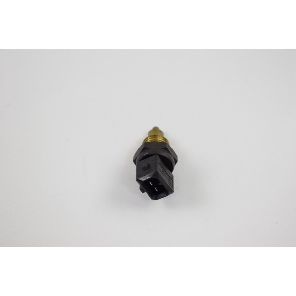 Sensor Temperatura Bmw R 1200 Gs 04-12 Original R1200gs