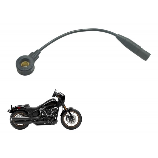 Sensor Detonação 69200840 Softail Low Rider S 114 19-22