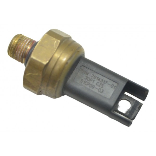 Sensor Pressão Gasolina Bmw S 1000 Rr 10-14 Original