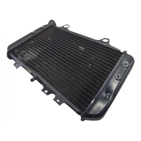 Radiador C/ Avaria Furado Bmw G 310 Gs 17-20 Original