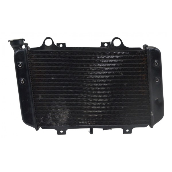 Radiador C/ Avaria Furado Bmw G 310 Gs 17-20 Original