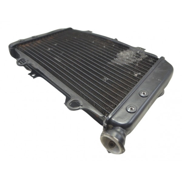 Radiador C/ Avaria Furado Bmw G 310 Gs 17-20 Original