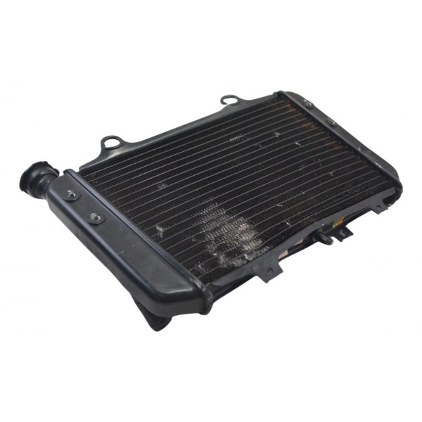 Radiador C/ Avaria Furado Bmw G 310 Gs 17-20 Original