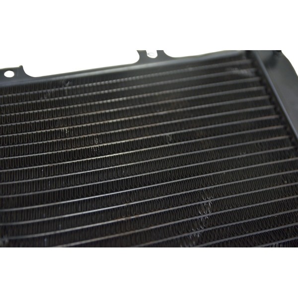 Radiador C/ Avaria Furado Bmw G 310 Gs 17-20 Original