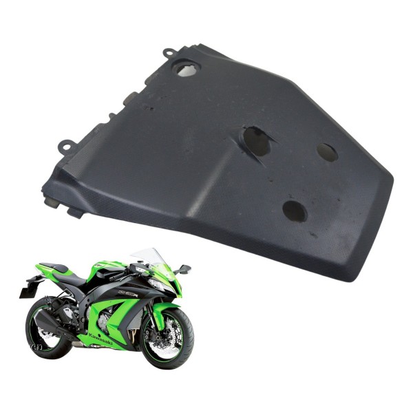 Acabamento Paralama Traseiro Kawasaki Zx 10r 10-15 Original