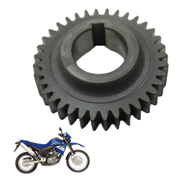 Engrenagem Virabrequim Yamaha Xt 660 R 05-08 Original