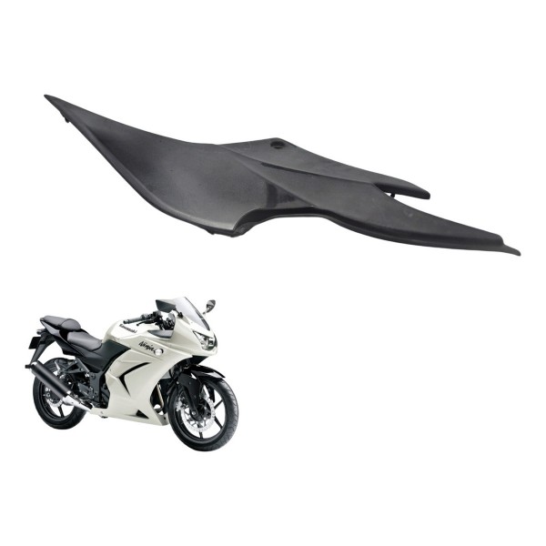 Carenagem Lateral Direita Kawasaki Ninja 250 R 08-12 Orig