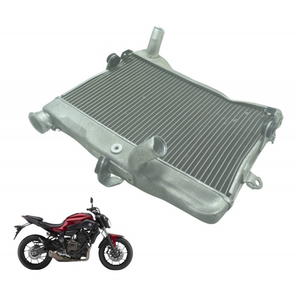 Radiador C/ Avaria Yamaha Mt 07 15-18 Original