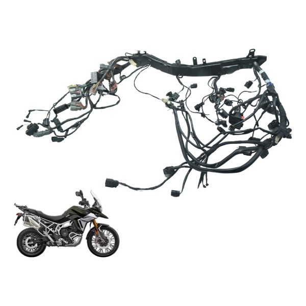 Chicote Principal C/ Avari Triumph Tiger 900 Rally Pro 20-24