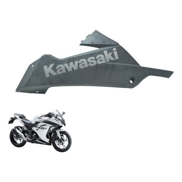 Spoiler Esq C/ Detalhes Kawasaki Ninja 300 13-18 Original