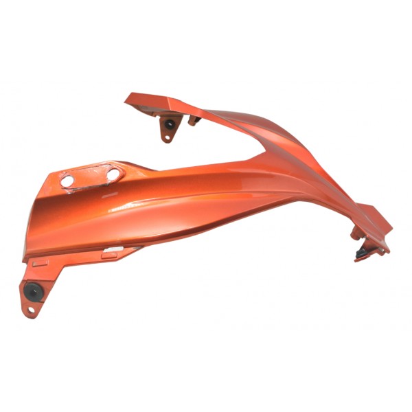 Carenagem Frontal Kawasaki Ninja 300 13-18 Original