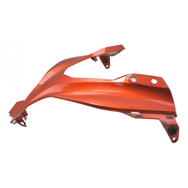 Carenagem Frontal Kawasaki Ninja 300 13-18 Original