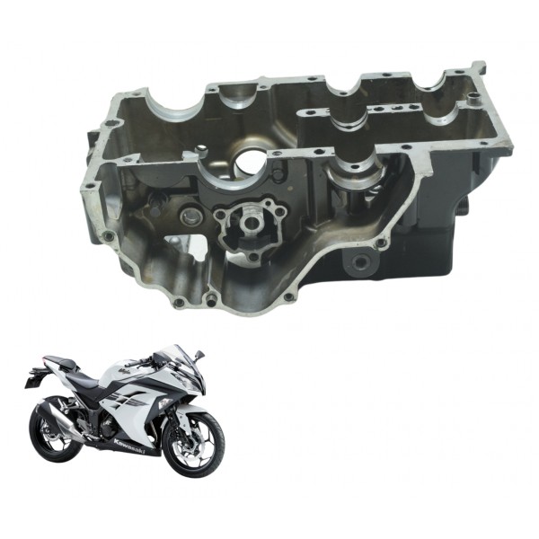 Bloco Motor Carcaça Inferior Nfe Kawasaki Ninja 300 13-18