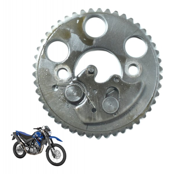 Engrenagem Comando Yamaha Xt 660 R 09-18 Original