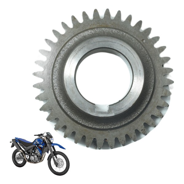 Engrenagem Virabrequim Yamaha Xt 660 R 09-18 Original