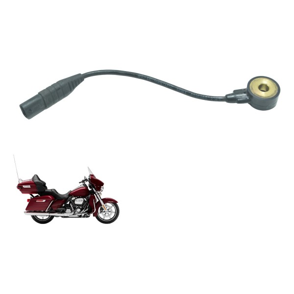 Sensor Detonação Harley Electra Limited Touring 19-23 Orig