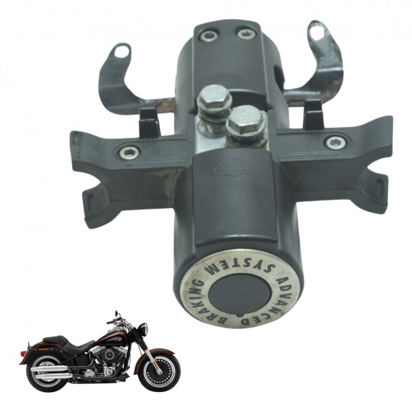 Modulo Abs Harley Softail Fat Boy Flstf 11-15 Original