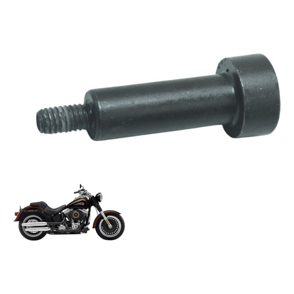 Parafuso Int Tampa Inspeç Harley Softail Fat Boy Flstf 11-15