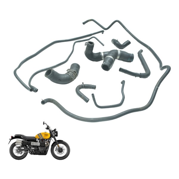 Kit Mangueiras Triumph Scrambler 900 17-23 Original