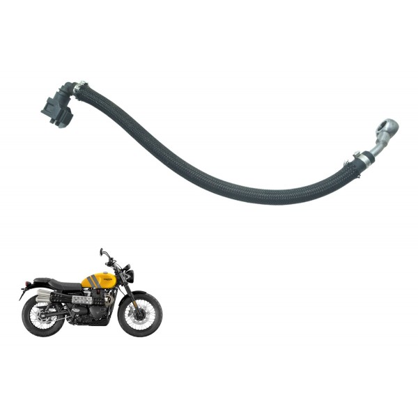 Mangueira Injeção Triumph Scrambler 900 17-23 Original