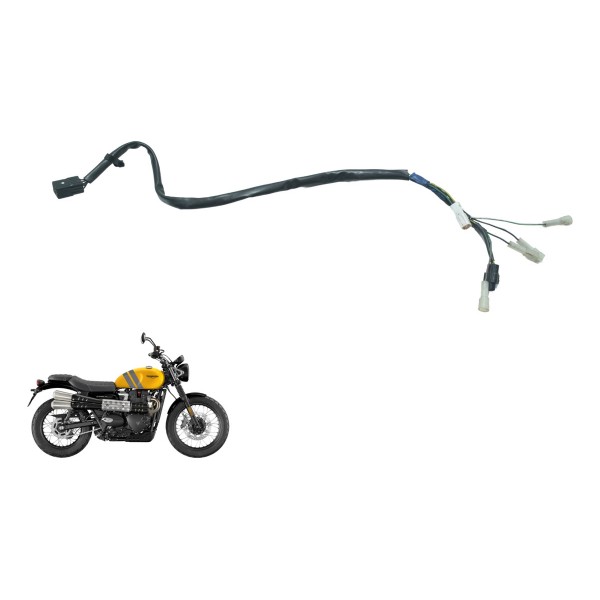 Chicote Lanterna Tras Triumph Scrambler 900 17-23 Original