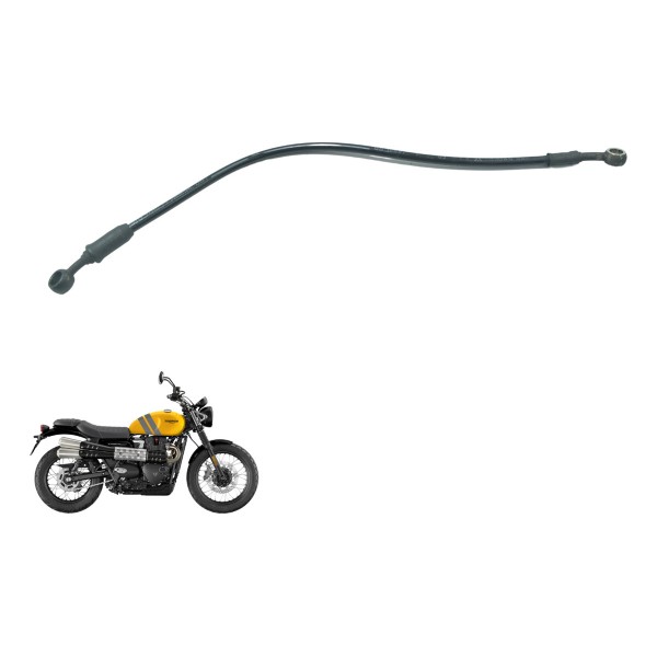 Flexível Freio Dianteiro Triumph Scrambler 900 17-23 Orig