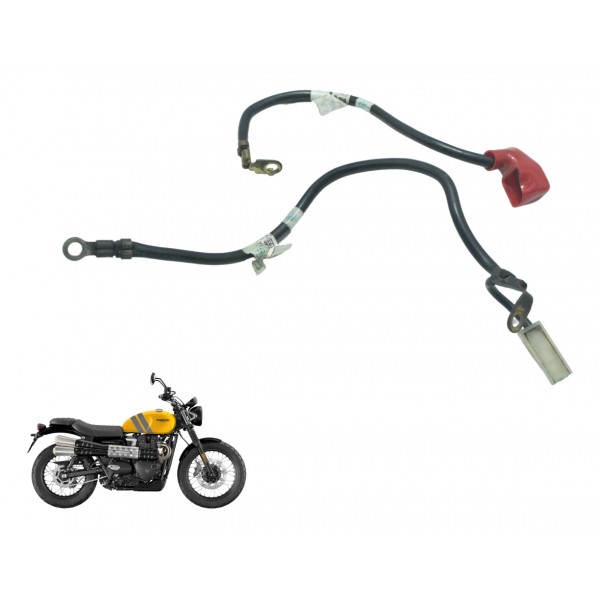 Cabo Bateria +/- Triumph Scrambler 900 17-23 Original