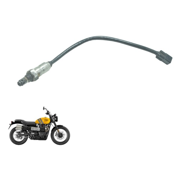 Sonda Lambda Triumph Scrambler 900 17-23 Original