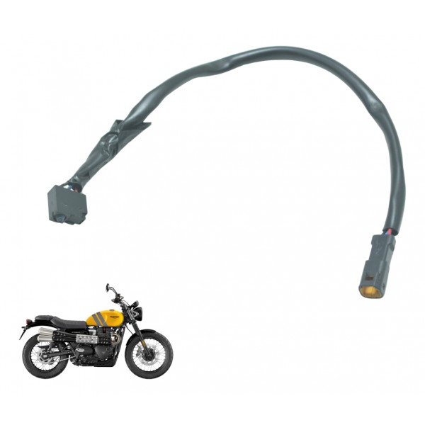 Interruptor Triumph Scrambler 900 17-23 Original