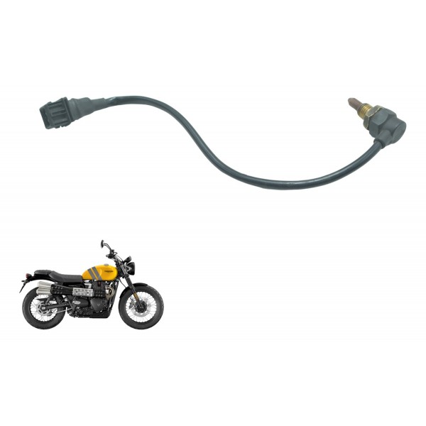 Sensor Temperatura Triumph Scrambler 900 17-23 Original