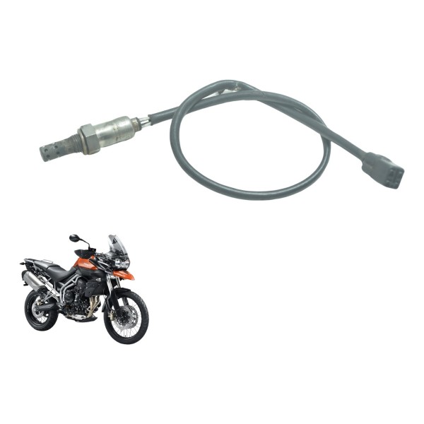 Sonda Lambda Triumph Tiger 800 13-14 Original